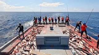 Full video of catching tuna by poleandline🎣 [upl. by Rydder]