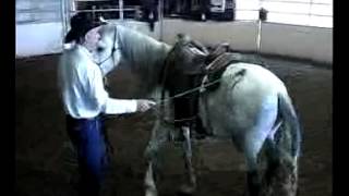 Dennis Reis Universal Horsemanship TV 7813  391 [upl. by Rufe]