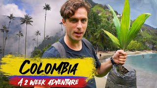 COLOMBIA 🇨🇴 2 Week Adventure  Ep2 Salento Cocora Tayrona Cartagena [upl. by Ocirderf]