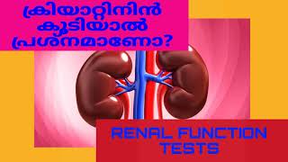 Renal Function Test  Kidney Function Test Malayalam [upl. by Amrak]