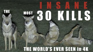 30 UNBELIEVABLE PREDATOR KILLS in 4Kthe bar has been raised [upl. by Markus]