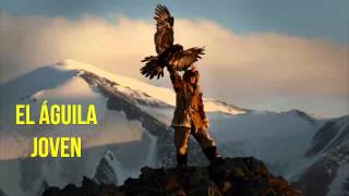 El aguila joven Reflexiones diarias Reflexiones de vida [upl. by Nnylf977]