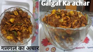 Galgal Adrak Hari Mirch ka Mix Tasty Achaar😋 Pickle  North Indian Pickle Recipe [upl. by Manas153]