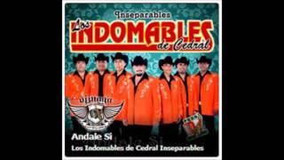 Indomables Del Cedral  Sacame Si Puedes 2013 [upl. by Edyak718]