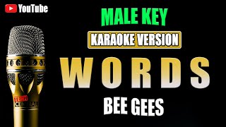 Words  Bee Gees  KARAOKE VERSION  Male Key [upl. by Ayhtnic]