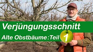 Verjüngungsschnitt  Alte Obstbäume schneiden  Teil 1 [upl. by Soneson456]