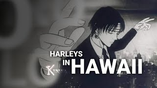 CHROLLO  HARLEYS IN HAWAII [upl. by Marina]