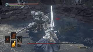 Farron Greatsword Parry Champion Gundyr [upl. by Abramo561]