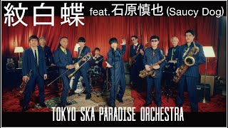 紋白蝶 feat石原慎也 Saucy Dog  TOKYO SKA PARADISE ORCHESTRA [upl. by Otha]