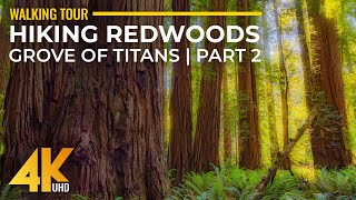 4K HDR Virtual Walk in Redwoods  Highest Trees amp Forest Sounds  Hiking Grove of Titans Trail  2 [upl. by Towill]