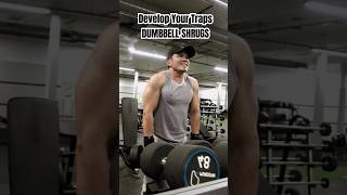 The Ultimate Traps Workout Build Massive Traps amp Improve Posture [upl. by Aderb964]