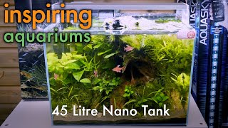 Inspiring Aquariums  45 Litre Nano Tank [upl. by Yesnik]