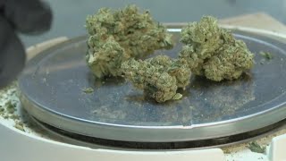 RAW Interview NORML Deputy Director discusses impacts of marijuana reclassification [upl. by Sky]