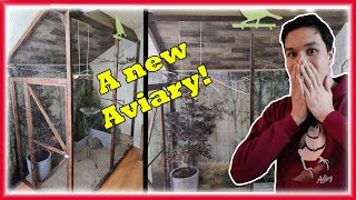 AMAZING Simple New Gouldian Finch Bird Breeding AVIARY [upl. by Burrton189]