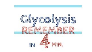 Glycolysis explained Remember in 4 minutes ①【USMLE biochemistry】 [upl. by Adaner16]