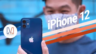 Why you should BUY the nonPro iPhone 12 [upl. by Vescuso]