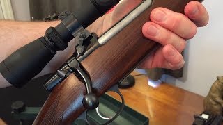 CZ 550 65x55 Talley Scope Rings Lux [upl. by Suciram103]