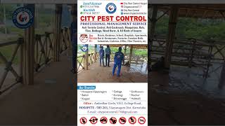 Wood Borer Treatments  CITY PEST CONTROL [upl. by Daraj]