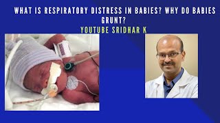 What is respiratory distress why do babies grunt grunting respiratorydistress nicunurse [upl. by Anayek]