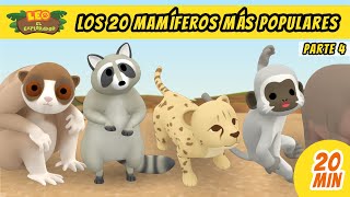 Los 20 Mamíferos Más Populares Episodio Compilación Parte 45  Leo El Explorador Episodio [upl. by Nnaul]