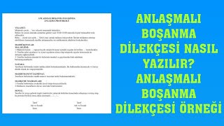 Anlaşmalı Boşanma Dilekçesi Nasıl Yazılır Anlaşmalı Boşanma Dilekçesi Örneği [upl. by Saire495]