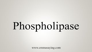 How To Say Phospholipase [upl. by Rexanne]