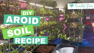 DIY Aroid Soil Mix Recipe [upl. by Anirol]