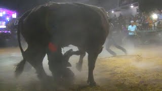 LLEGO LA TRAGEDIA AL JARIPEO  RANCHO LA HERENCIA EN XALPATLAHUAC GUERRERO 2024 [upl. by Anairad199]