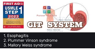 Esophagitis Mallory Weiss syndrome Boerhaave syndrome from first aid step 1UrduHindi [upl. by Mateusz]