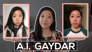 Can AI Detect Sexual Orientation  Artificial Intelligence Gaydar [upl. by Odracir]