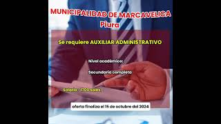 SE REQUIERE AUXILIAR ADMINISTRATIVO [upl. by Lundin378]