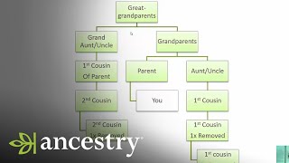 What is a First Cousin Once Removed  Ancestry [upl. by Hanni996]