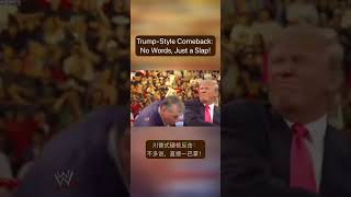 TrumpStyle Comeback No Words Just a Slap [upl. by Va]