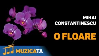 O floare  Mihai Constantinescu [upl. by Filia]