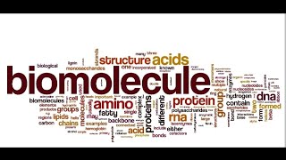 lecture 5 disacharides sucrose lactose maltose [upl. by Landis43]