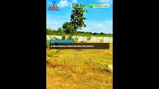 FARMLAND PLOTS  NELAMANGALA realestate [upl. by Anitneuq]