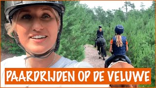 Keihard galopperen op de Veluwe  PaardenpraatTV [upl. by Paige]