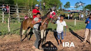 BAGUIRA VS RUFIANA [upl. by Eadwine]