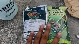 Beauveria Bassiana And Pseudomonas Fluorescens Powder  Bio Fungicide for Seeds amp Home Garden Plants [upl. by Sabelle509]