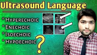 Decoding Ultrasound Language  Understanding Hyperechoic Hypoechoic Echogenicity Isoechoic and [upl. by Merrielle401]