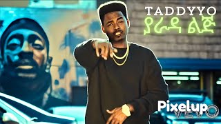 TADDY YO YARADA LIJ ቴዲ ዮ ያራዳ ልጅ Music Video official [upl. by Fee589]