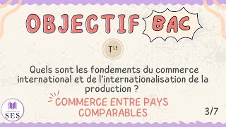 BAC Commerce International  Commerce entre pays comparables [upl. by Eelrebmik]