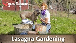 What is the Lasagna Gardening Method [upl. by Arabela171]