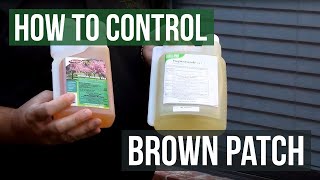 How to Control Brown Patch Fungus with Honor Guard PPZ Fungicide Propiconazole [upl. by Rodmann]