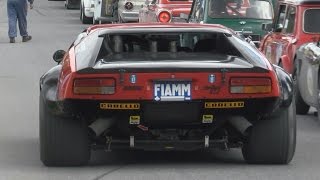 What a Sound Four De Tomaso Pantera and Mangusta at Arosa Classic Car 2015 [upl. by Adnilram]