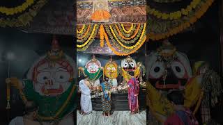 Shree Jagannath Mangal Arati Darshan Dt12112024 youtubeshorts jagannath lord [upl. by Leoline40]