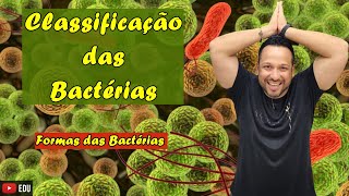 Classificação das Bactérias  Formas das Bactérias  Microbiologia  Reino Bacteria [upl. by Earissed]