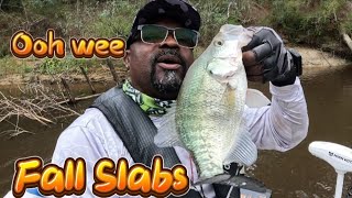 Catching Crappie using Minnows  Bobber and Livescope [upl. by Ingles]