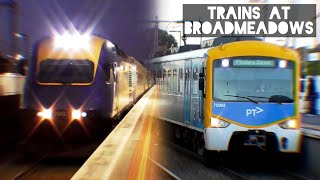 Trains at Broadmeadows  August 2024 [upl. by Eytteb]