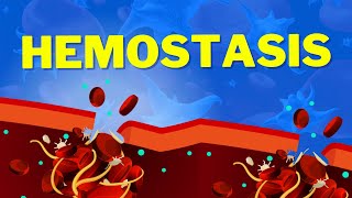 Hemostasis  How We Stop Bleeding [upl. by Jeffery]